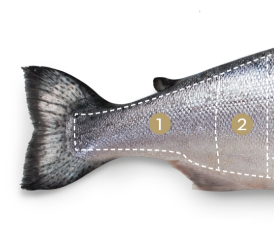 Regal New Zealand King Salmon Cuts